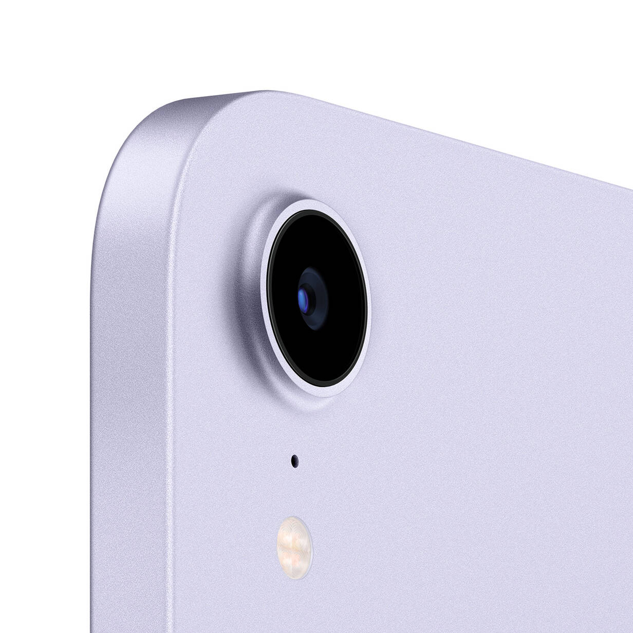 Apple-8-3-iPad-mini-256-GB-Violett-2021-03.jpg