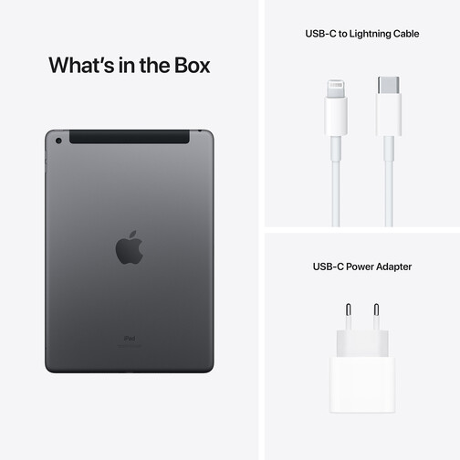 Apple-10-2-iPad-WiFi-Cellular-256-GB-Space-Grau-2021-09.jpg