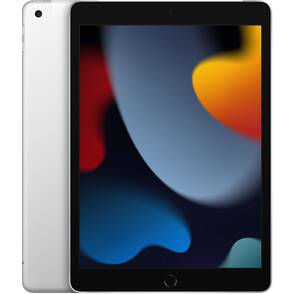 Apple-10-2-iPad-WiFi-Cellular-256-GB-Silber-2021-01