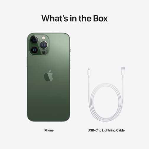 OCCASION-Apple-iPhone-13-Pro-Max-256-GB-Alpingruen-2021-09.jpg