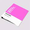 PANTONE-Pastels-Neons-Chips-coated-uncoated-2023-02.jpg