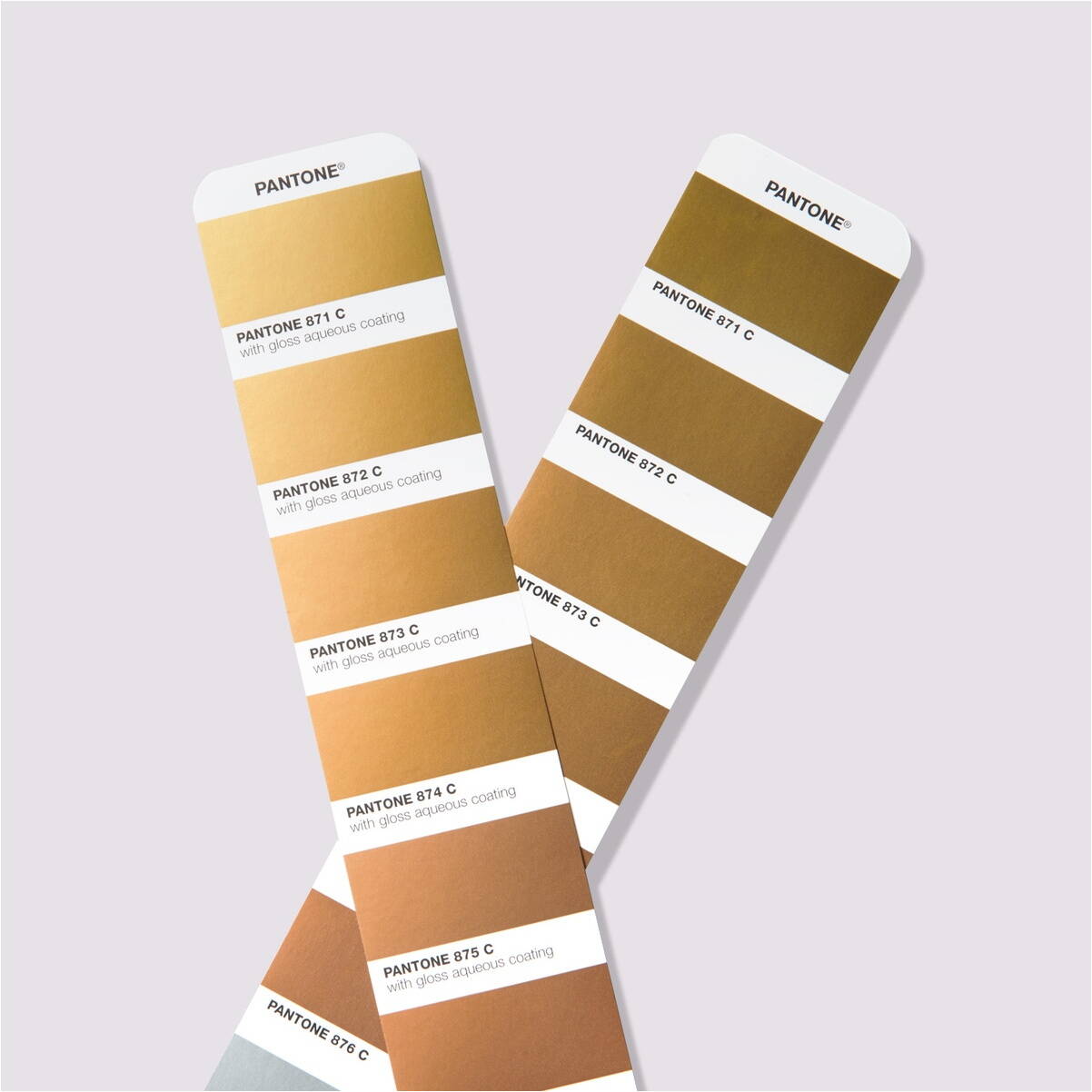 PANTONE-Metallics-Coated-Guide-2023-03.jpg