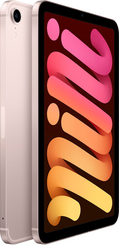 Apple-8-3-iPad-mini-WiFi-Cellular-256-GB-2021-02.jpg