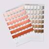 PANTONE-Metallics-Coated-Chips-Book-2023-03.jpg