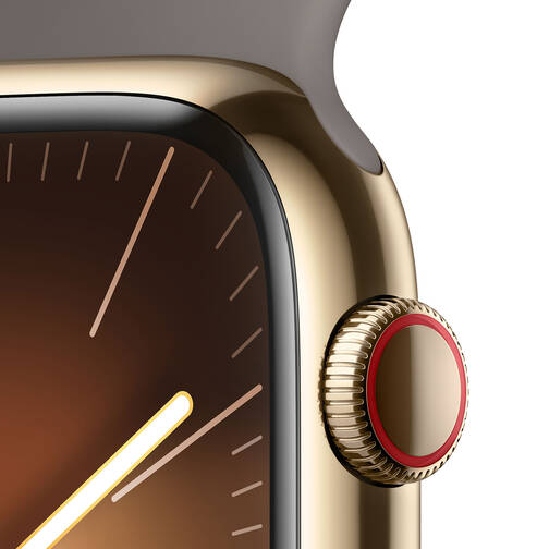 Apple-Watch-Series-9-GPS-Cellular-45-mm-Edelstahl-Gold-Sportarmband-M-L-Tonbraun-03.jpg