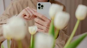 Mann fotografiert Tulpen mit dem iPhone