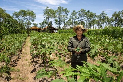 Landwirt im Feld in Kambodscha