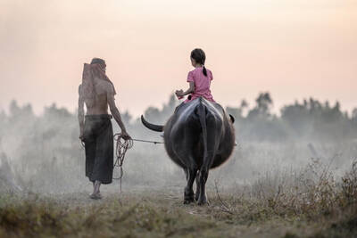 Mädchen auf Büffel mit Grossvater in Kambodscha
