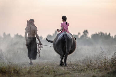 Mädchen auf Büffel mit Grossvater in Kambodscha