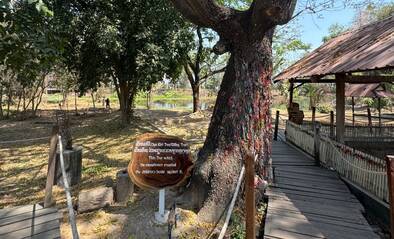 Killing Fields in Kambodscha