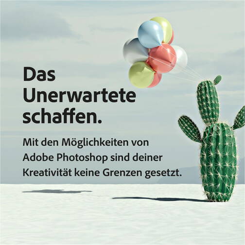 Adobe-Mietlizenzen-Commercial-Creative-Cloud-Produkte-Foto-Abo-Individuals-Re-05.jpg