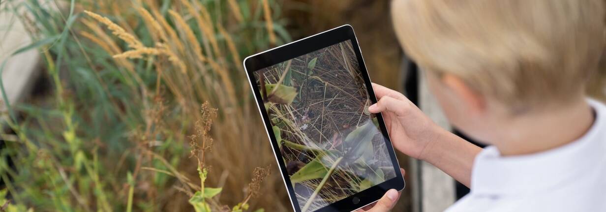 iPad sind vielseitig einsetzbar Junge generiert Foto mit iPad