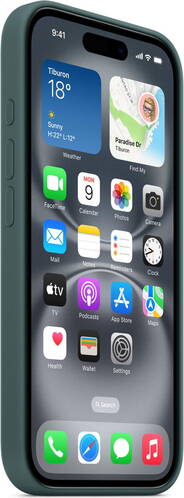 Apple-Silikon-Case-iPhone-16-Seegruen-06.jpg