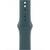 Apple-Sportarmband-M-L-fuer-Apple-Watch-38-40-41-mm-Seegruen-01.jpg