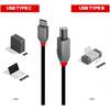 LINDY-USB-2-0-Typ-C-auf-USB-2-0-Typ-B-Adapterkabel-2-m-02.jpg