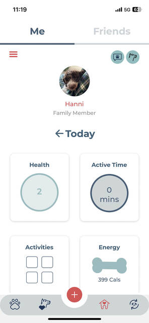 Tracking von Aktivitäten für Hunde (Bild: DQ Solutions) Profil des Hundes bei Fleatiger