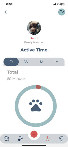 Aktive Zeit des Hundes tracken