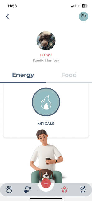 Fleatiger App misst Kalorienverbrauch des Hundes (Bild: DQ Solutions) Kalorienverbrauch des Hundes