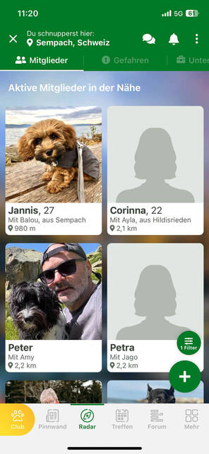 Profile der anderen Mitglieder (Bild: DQ Solutions) Community Mitglieder der Dogorama App