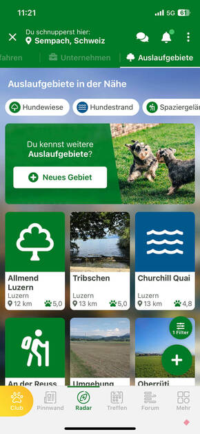 Hunde-Freilauf-Gebiete in der Nähe