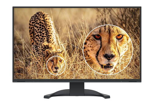 EIZO-31-5-Monitor-EV3240X-BK-Swiss-Edition-3840-x-2160-94-W-USB-C-Schwarz-01.jpg