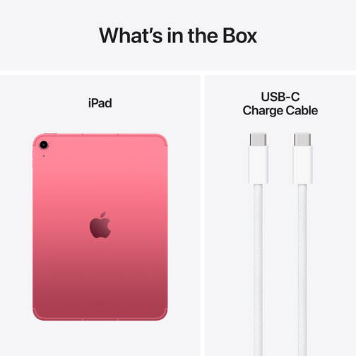Apple-11-iPad-WiFi-Cellular-256-GB-Pink-2025-08.jpg