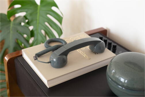 Native-Union-Kopfhoerer-Pop-Phone-Schiefergruen-05.jpg