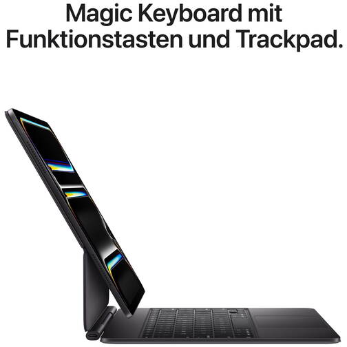11-iPad-Pro-WiFi-256-GB-Standardglas-Space-Schwarz-2025-07.jpg