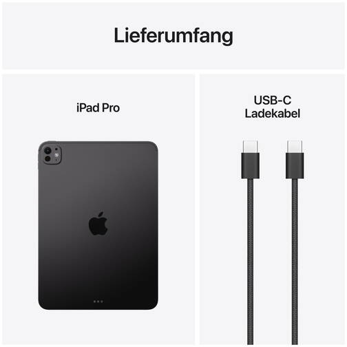 11-iPad-Pro-WiFi-256-GB-Standardglas-Space-Schwarz-2025-09.jpg