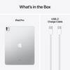 13-iPad-Pro-M4-Wi-Fi-Cellular-256-GB-Standardglas-Silber-2024-11.jpg