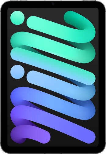 8-3-iPad-mini-Wi-Fi-Cellular-128-GB-Space-Grau-2024-01.jpg