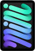 8-3-iPad-mini-Wi-Fi-Cellular-256-GB-Space-Grau-2024-01.jpg