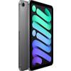 8-3-iPad-mini-Wi-Fi-Cellular-256-GB-Space-Grau-2024-03.jpg