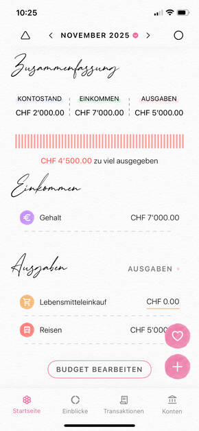 Screenshot: Kontostand im Budget Planner Fleur