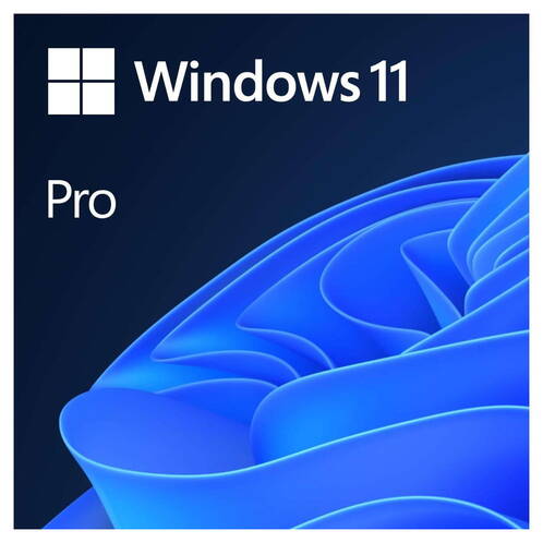 Microsoft-Windows-11-Professional-Retail-OEM-64-Bit-ESD-Download-Kauflizenz-W-01.jpg