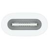 Apple-Pencil-Adapter-Apple-Pencil-Weiss-02.jpg Apple-Pencil-Adapter-Apple-Pencil-Weiss-02.jpg