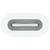 Apple-Pencil-Adapter-Apple-Pencil-Weiss-02.jpg Apple-Pencil-Adapter-Apple-Pencil-Weiss-02.jpg