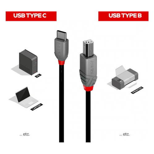 LINDY-USB-2-0-Typ-C-auf-USB-2-0-Typ-B-Adapterkabel-2-m-02.jpg
