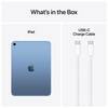 11-iPad-Wi-Fi-Cellular-256-GB-Blau-2025-08.jpg 11-iPad-Wi-Fi-Cellular-256-GB-Blau-2025-08.jpg