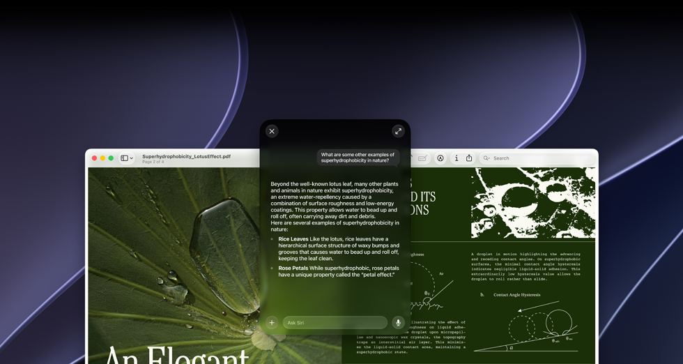 Demo zu Siri und Visueller Intelligenz, auf einem Mac Display wird eine Benutzeranfrage zu einem Thema in einem PDF angezeigt, sie lautet «Was sind andere Beispiele für Superhydrophobie in der Natur?», Antwort von Siri