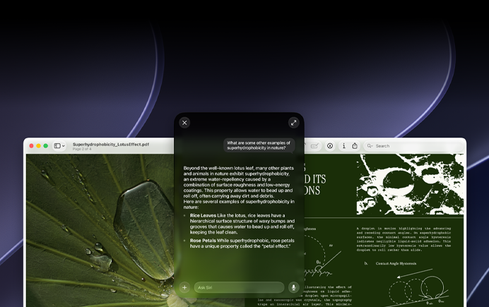 Demo zu Siri und Visueller Intelligenz, auf einem Mac Display wird eine Benutzeranfrage zu einem Thema in einem PDF angezeigt, sie lautet «Was sind andere Beispiele für Superhydrophobie in der Natur?», Antwort von Siri