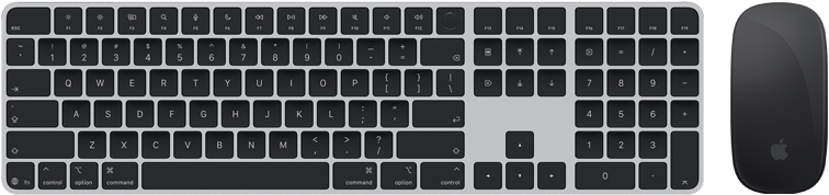 Draufsicht auf das Magic Keyboard mit Touch ID und die Magic Mouse