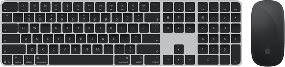 Draufsicht auf das Magic Keyboard mit Touch ID und die Magic Mouse
