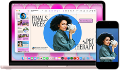 MacBook Neo, blush color, next to iPhone, MacBook Neo screen shows presentation titled Finals Week Pet Therapy with photo of a person holding a guinea pig, iPhone screen shows same photo, which has been turned into a sticker to use in presentation