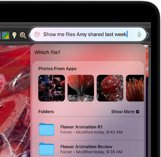 Eine Siri Anfrage wird beim Arbeiten in der App Houdini getippt
