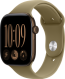 Apple Watch Series 12